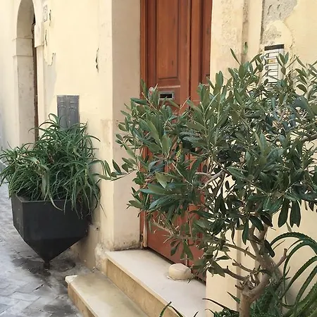 Sanmartinoortigia